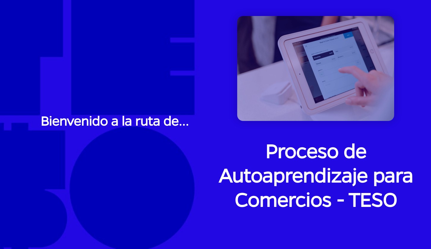 Proceso de Autoaprendizaje para Comercios - TESO
