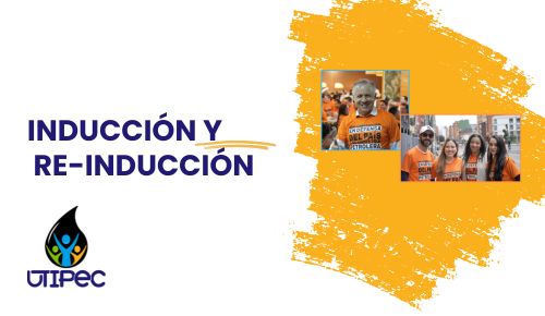 INDUCCION Y REINDUCCION