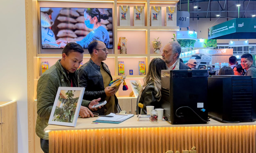 Hacienda Santa Inés lleva a Expo Café un Gesha de colección desde Nariño